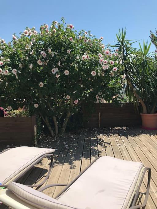 Appartement Sur La Colline Avec Acces Piscine Volx Zewnętrze zdjęcie